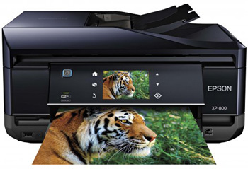  Epson Expression Premium XP-800 -      