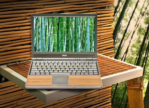   Asus Bamboo