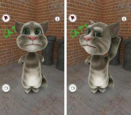    Talking Tom Cat