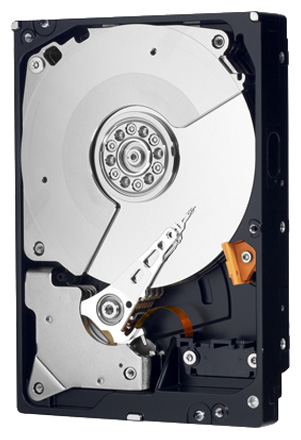    Western Digital Caviar Black 4  (WD2001FASS)  2