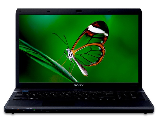   Sony Vaio F13Z1R/BI (VPC-F13Z1R/BI)  1