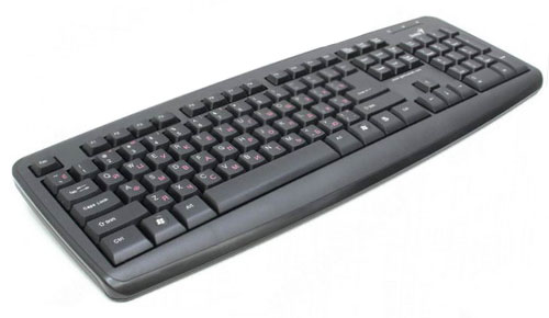   Genius KB-110X Black PS/2 (KB-110X Black PS/2)  2