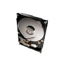    Seagate ST1000VM002 (ST1000VM002)  1