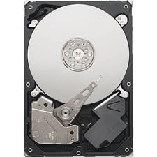    Seagate ST1000VM002 (ST1000VM002)  2