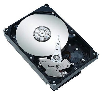    Seagate ST3250310AS (ST3250310AS)  1