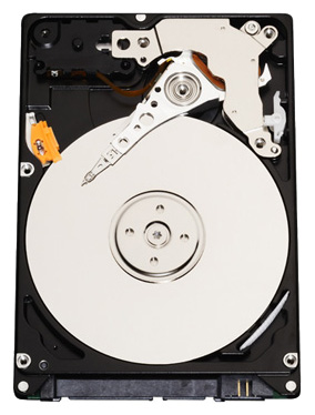    Western Digital Scorpio Blue 320  (WD3200BEVT)  1