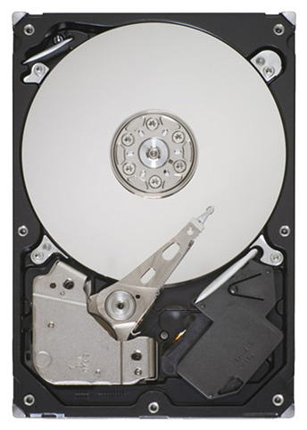    Seagate ST3320418AS (ST3320418AS)  1