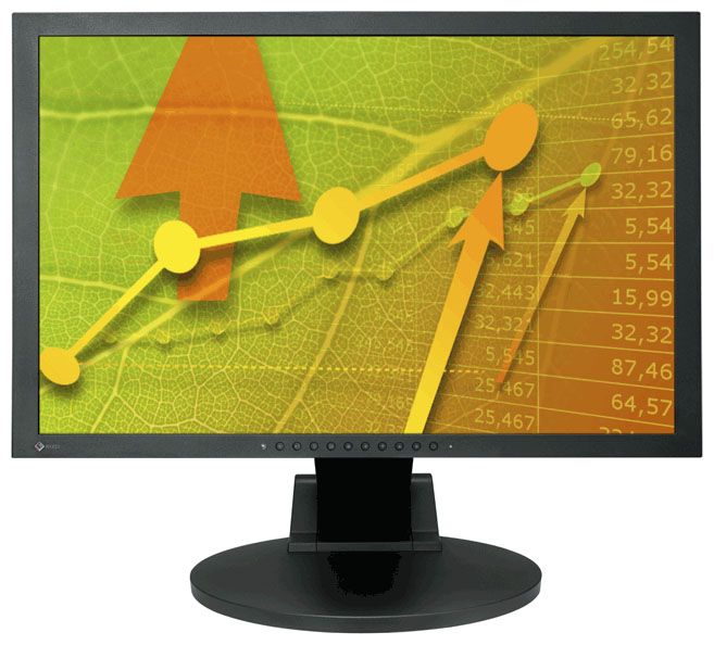   Eizo FlexScan EV2411WSE (EV2411WSE)  2