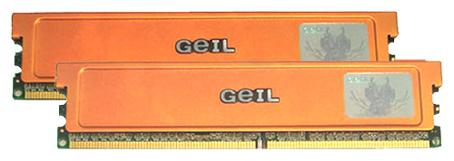   Geil GX21GB8000UDC