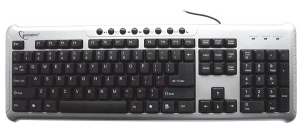  Gembird KB-314MU-SB-R Silver-Black USB