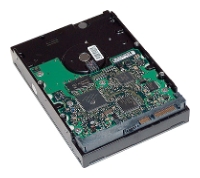   HP WE464AA  #1