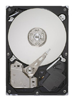   Seagate ST500DM002