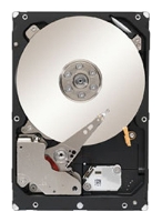   Seagate ST1000NM0033