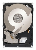   Seagate ST3000VM002  #1