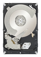   Seagate ST2000DX001