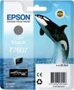   Epson C13T76074010   #1