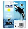   Epson C13T76044010   #1