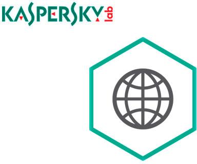     Kaspersky Security  -  25-49  KL4413RAPFW  #1