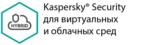    Kaspersky Security       20-24  KL4155RANFS  #1