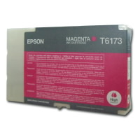   Epson EPT617300     #1