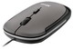   Trust SlimLine Mouse Black USB (16337)  1