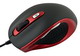   Oklick 404 S Optical Mouse Red-Black USB (404S Red/Black)  3