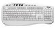   Chicony KB-0503 White PS/2 (KB-0503-W)  2