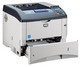   Kyocera-Mita FS-3920DN (FS-3920DN)  1