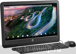   HP Slate 21 Pro All-in-One (G0W16AA)  1