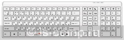   Oklick 560 S Multimedia Keyboard White USB (560S White)  1