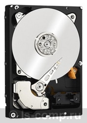    Western Digital WD40PURX (WD40PURX)  1