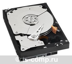    Western Digital Caviar Black 1  (WD1002FAEX)  1