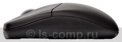   Trust Wireless Mouse Black USB (16592)  2