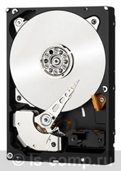    Western Digital WD40PURX (WD40PURX)  2