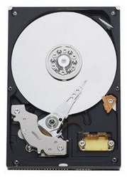   Western Digital Caviar Blue 320 