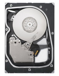   Seagate ST373455LW