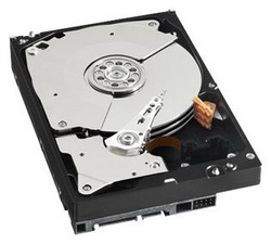   Western Digital Caviar Black 1 