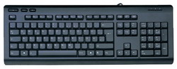  Chicony KB-0837 Black USB