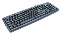  Genius KB-06XE Black PS/2