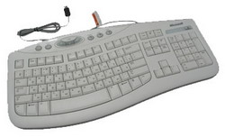  Microsoft Comfort Curve Keyboard 2000 White USB