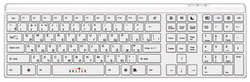  Oklick 560 S Multimedia Keyboard White USB