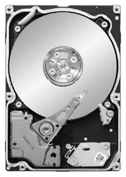   Seagate ST9500620NS