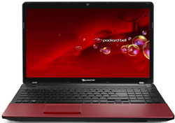  Packard Bell EasyNote LS13