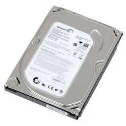   Seagate ST250DM000