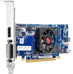  HP Radeon HD 6450 625Mhz PCI-E 2.1 512Mb 1600Mhz 64 bit DVI HDCP