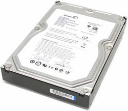   Seagate ST3500312CS