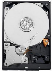   Western Digital WD10EZEX