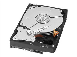   Western Digital WD5003AZEX