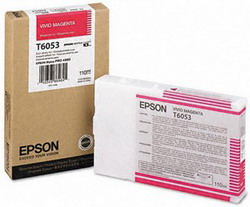   Epson C13T605300 