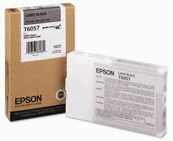   Epson C13T605700 